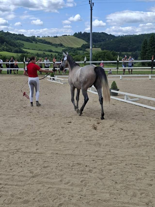 79c7eb0b-853a-4e0a-b989-10629a2420c3